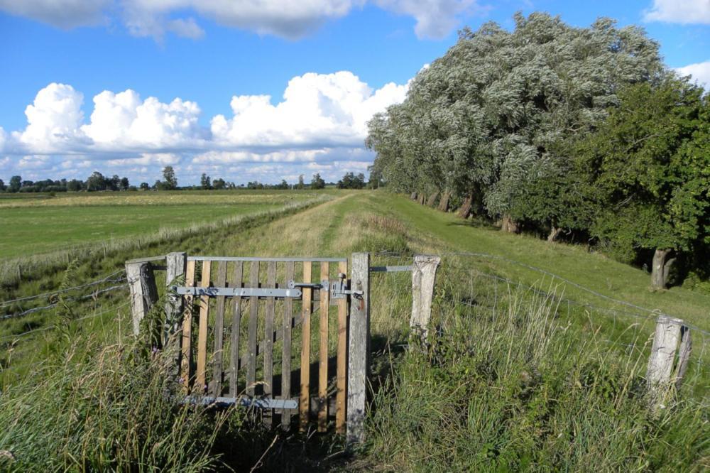 Ferienhof-Eiderdeich Delve Exterior foto